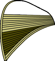 canoe stem 2